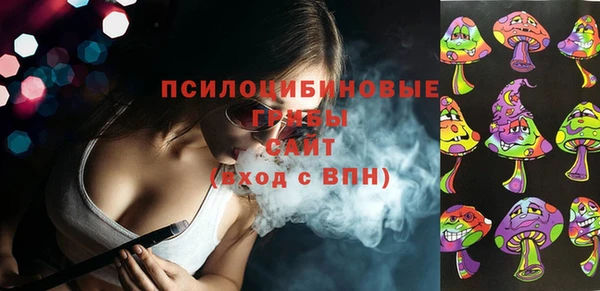 ПСИЛОЦИБИНОВЫЕ ГРИБЫ Заволжск