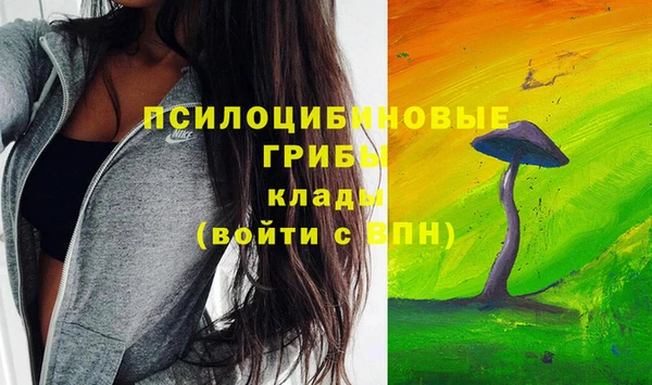 эйфоретик Баксан