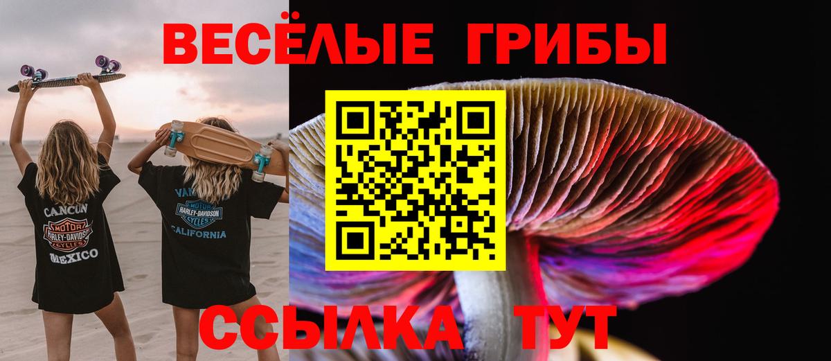 Галлюциногенные грибы прущие грибы  Вход с VPN  Бор 