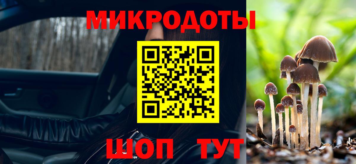 Галлюциногенные грибы прущие грибы Бор